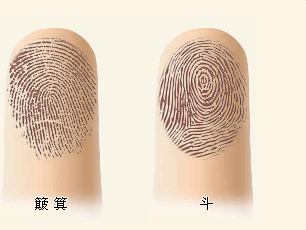 手指纹五行生克